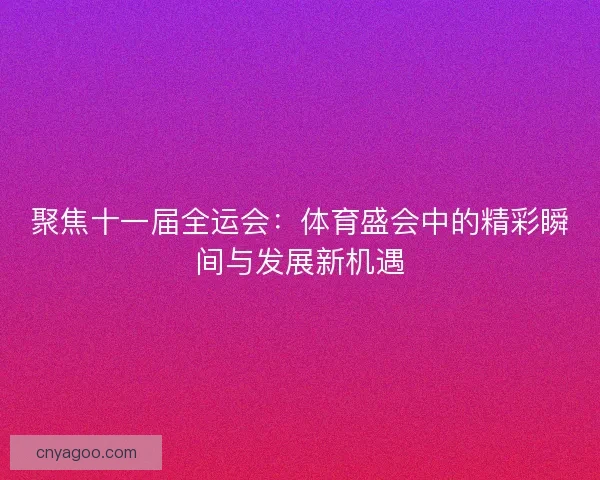 聚焦十一届全运会：体育盛会中的精彩瞬间与发展新机遇
