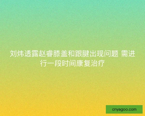 刘炜透露赵睿膝盖和跟腱出现问题 需进行一段时间康复治疗